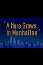 Watch A Hare Grows in Manhattan Megashare8