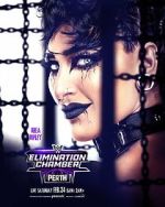 Watch WWE Elimination Chamber: Perth (TV Special 2024) Online Megashare8