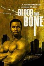 Watch Blood and Bone Megashare8