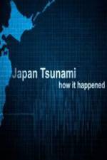 Watch Japan Tsunami: How It Happened Megashare8