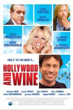 Watch Hollywood & Wine Megashare8