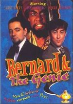 Watch Bernard and the Genie Megashare8