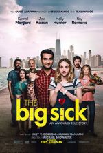 Watch The Big Sick Megashare8