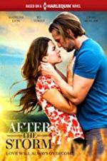 Watch After the Storm Megashare8