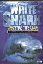 Watch National Geographic white shark:outside the cage Megashare8