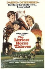 Watch The Littlest Horse Thieves Megashare8