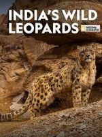 Watch India\'s Wild Leopards (Short 2020) Megashare8