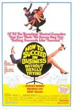 Watch How to Succeed in Business Without Really Trying Megashare8