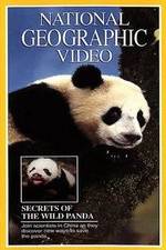 Watch Secrets of the Wild Panda Megashare8