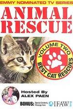 Watch Animal Rescue, Volume 2: Best Cat Rescues Megashare8
