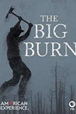 Watch American Experience: The Big Burn Megashare8