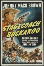 Watch Stagecoach Buckaroo Megashare8