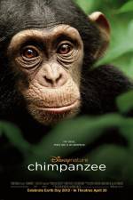 Watch Chimpanzee Megashare8