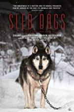 Watch Sled Dogs Megashare8
