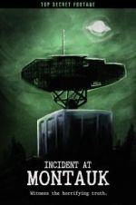 Watch Incident at Montauk Megashare8