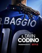 Watch Baggio: The Divine Ponytail Megashare8