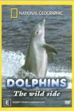 Watch Dolphins: The Wild Side Megashare8