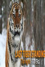 Watch Discovery Channel-Last Tiger Standing Megashare8