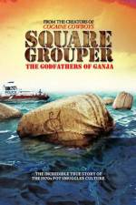 Watch Square Grouper Megashare8