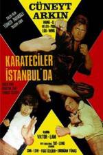 Watch Karate on the Bosphorus Megashare8