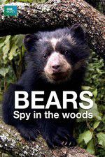 Watch Bears: Spy in the Woods Megashare8