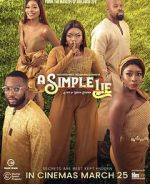 Watch A Simple Lie Megashare8