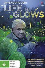 Watch Attenborough\'s Life That Glows Megashare8