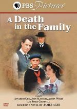 Watch A Death in the Family Megashare8