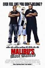 Watch Malibu's Most Wanted Megashare8