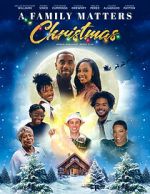 Watch A Family Matters Christmas Megashare8