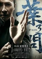 Watch Ip Man 3 Megashare8