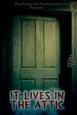 Watch It Lives in the Attic Megashare8