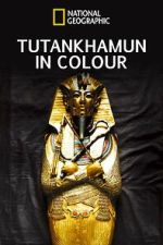 Watch King Tut in Color Megashare8