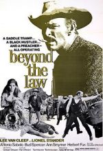 Watch Beyond the Law Megashare8