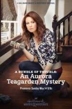 Watch A Bundle of Trouble: An Aurora Teagarden Mystery Megashare8