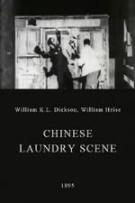 Watch Chinese Laundry Scene Megashare8