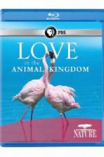 Watch Nature: Love in the Animal Kingdom Megashare8