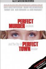 Watch Perfect Murder Perfect Town JonBenet and the City of Boulder Megashare8