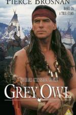 Watch Grey Owl Megashare8