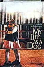 Watch My Life As A Dog Megashare8