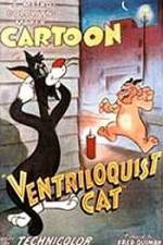 Watch Ventriloquist Cat Megashare8