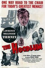 Watch The Hoodlum Megashare8