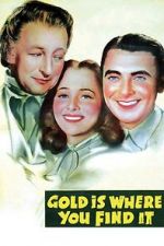 Watch Gold Is Where You Find It Megashare8