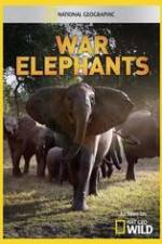 Watch War Elephants Megashare8