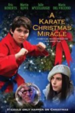 Watch A Karate Christmas Miracle Megashare8