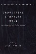 Watch Industrial Symphony No 1 The Dream of the Brokenhearted Megashare8