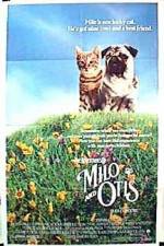 Watch Milo and Otis Megashare8