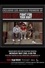 Watch Beastie Boys: Fight for Your Right Revisited Megashare8