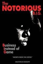 Watch Notorious B.I.G. Business Instead of Game Megashare8