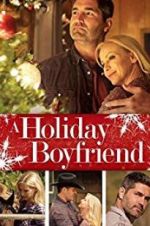 Watch A Holiday Boyfriend Megashare8